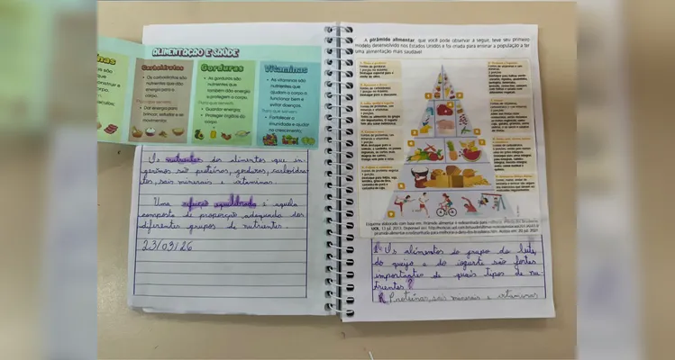 Confira os registros do trabalho.