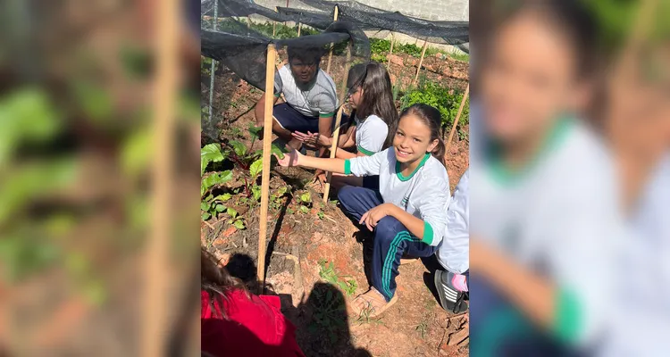 Veja os registros dos alunos no local.