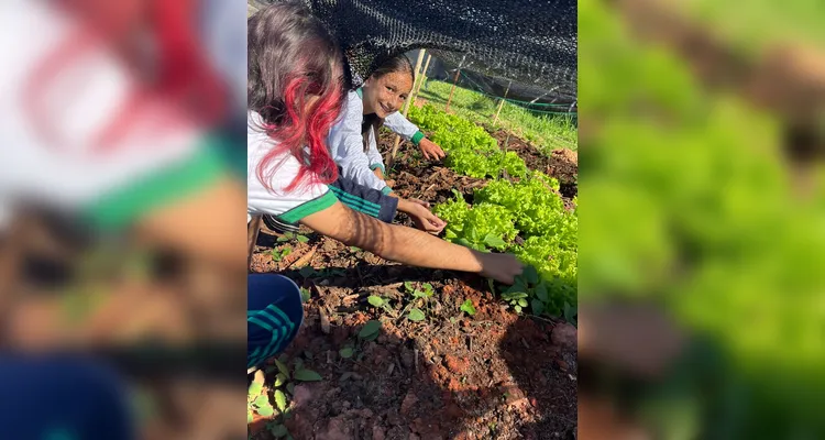 Veja os registros dos alunos no local.