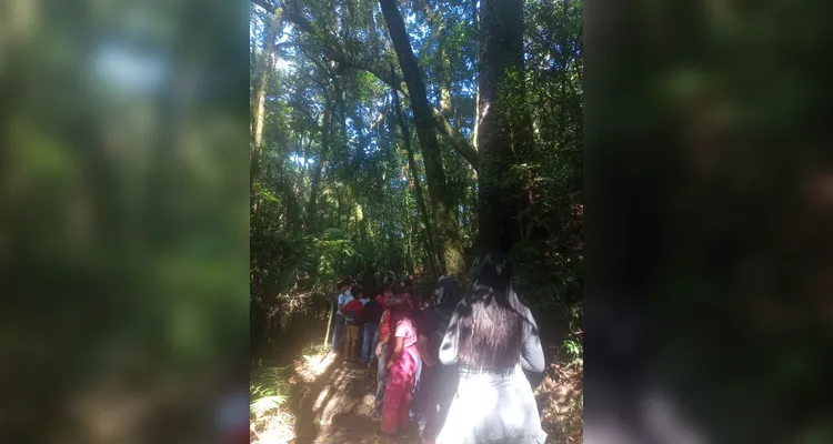 Confira a série de registros no local.