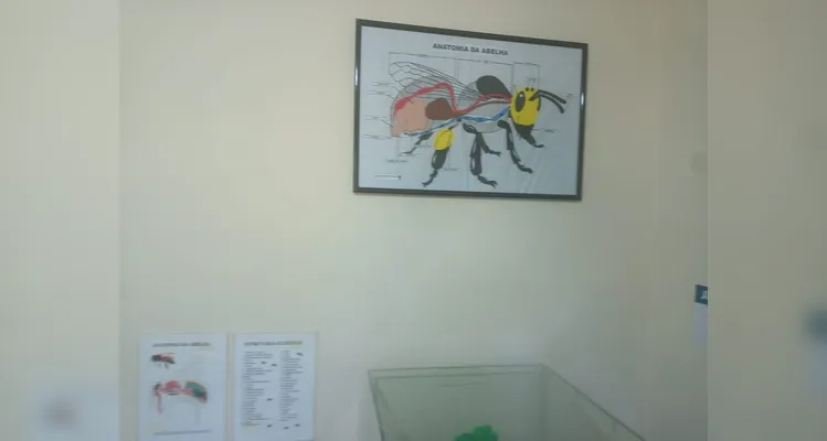 Confira os registros dos educandos no local.