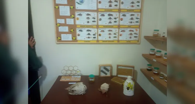 Confira a série de registros no local.