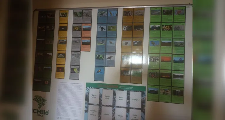 Confira os registros dos educandos no local.