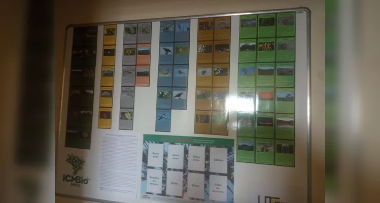 Confira a série de registros no local.