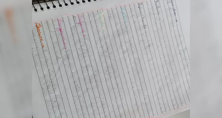 Confira os registros do amplo trabalho em sala de aula.