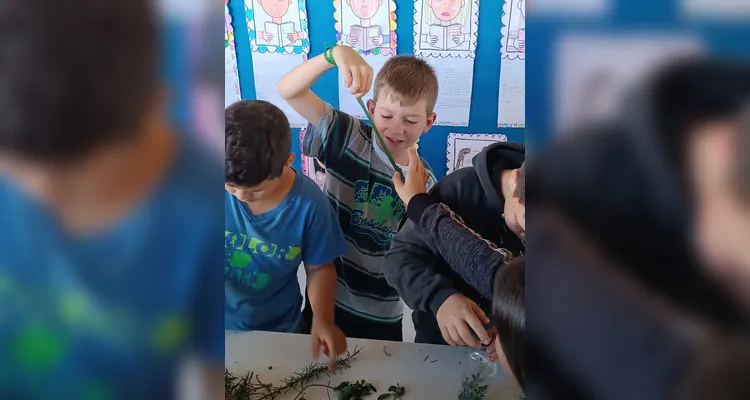 Confira os registros do amplo trabalho em sala de aula.