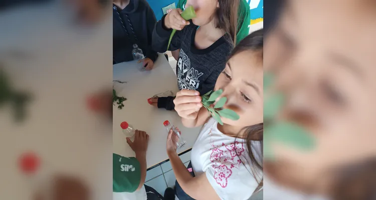 Confira os registros do amplo trabalho em sala de aula.