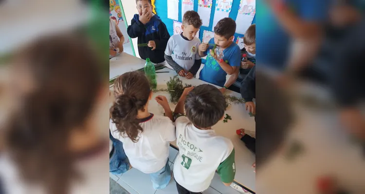 Confira os registros do amplo trabalho em sala de aula.