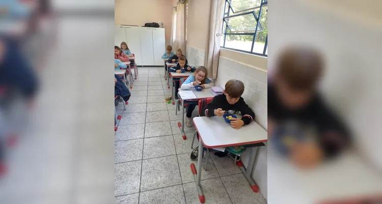 Confira os registros do trabalho na escola e em casa.
