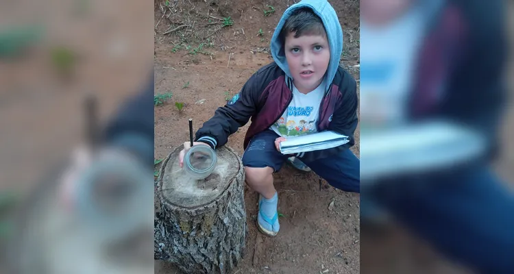 Confira as ações dos alunos em casa e o trabalho em sala de aula.