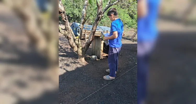 Confira as ações dos alunos em casa e o trabalho em sala de aula.