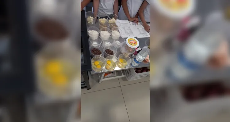 Confira os registros do amplo trabalho realizado pelos educandos.