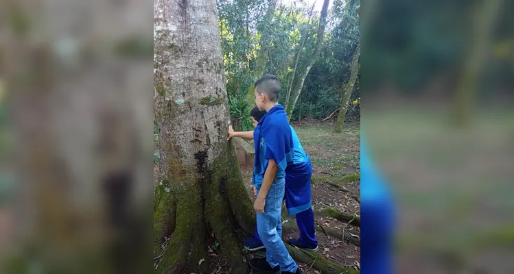 Confira os registros da proposta dentro e fora da sala de aula.
