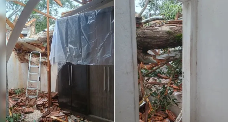 Confira imagens dos estragos causados.