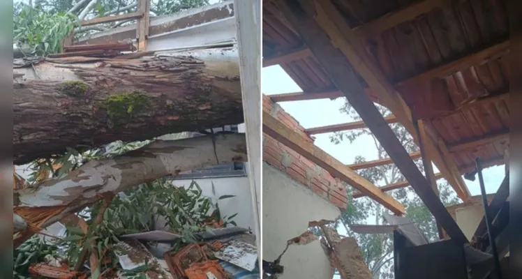 Confira imagens dos estragos causados.