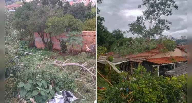 Confira imagens dos estragos causados.