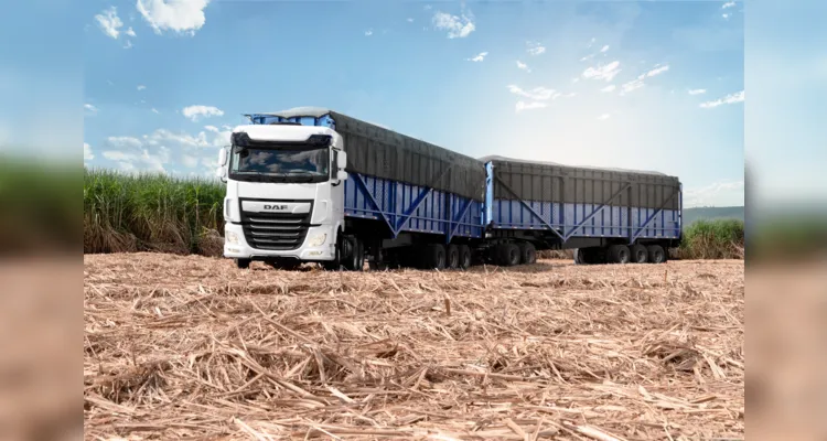 DAF garante a força e robustez para o transporte do agro