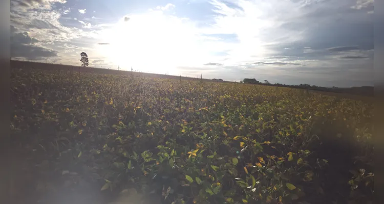 Fazenda Escola da UEPG ganha destaque na ‘Expedição A Força do Agro’