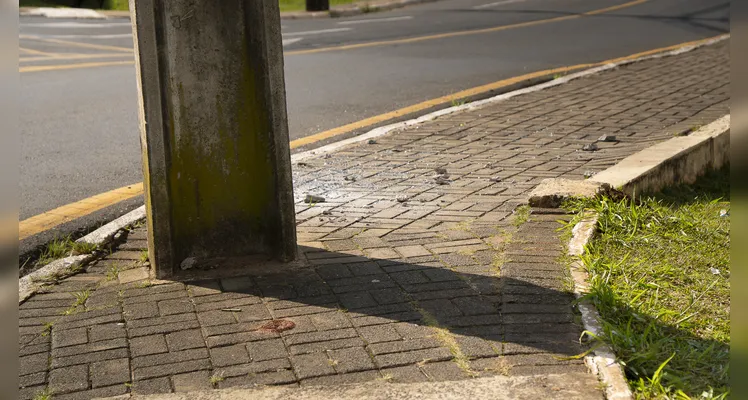 Cidade de obstáculos: os desafios da acessibilidade e mobilidade urbana em PG