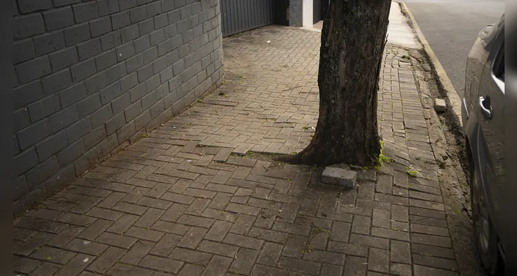 Cidade de obstáculos: os desafios da acessibilidade e mobilidade urbana em PG