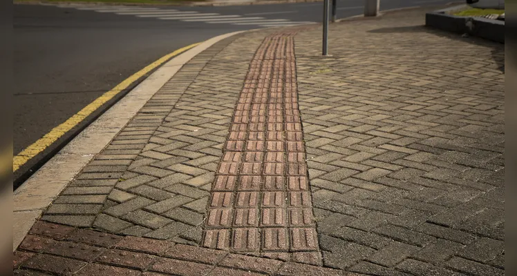 Cidade de obstáculos: os desafios da acessibilidade e mobilidade urbana em PG