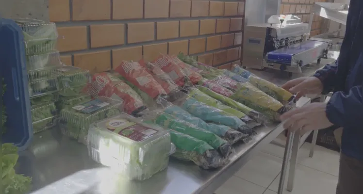Hidroponia fomenta produção de hortaliças em Ponta Grossa