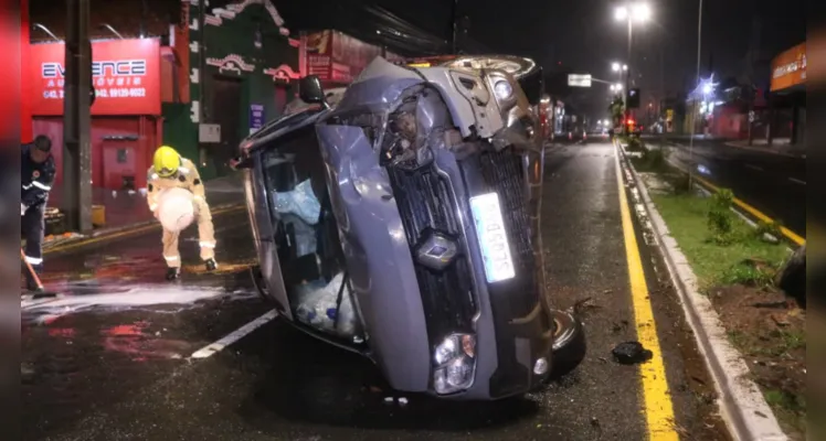Confira mais imagens da colisão contra a palmeira