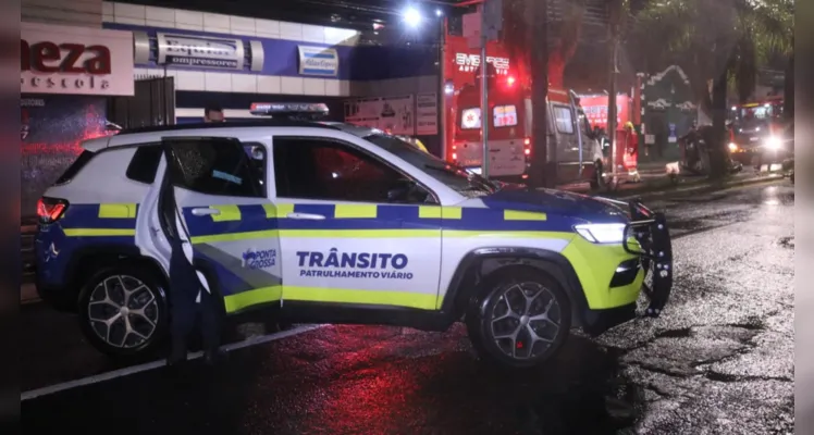 Confira mais imagens da colisão contra a palmeira