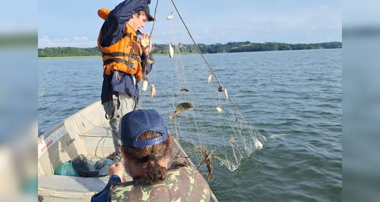 Sanepar e UFPR identificam peixe que atua como "filtro ecológico"