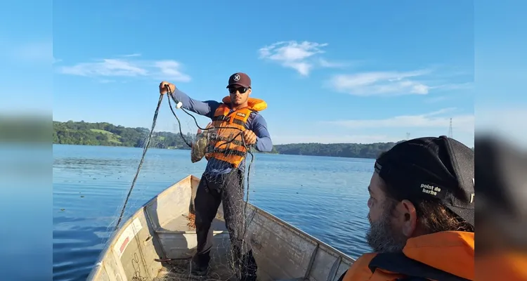 Sanepar e UFPR identificam peixe que atua como "filtro ecológico"