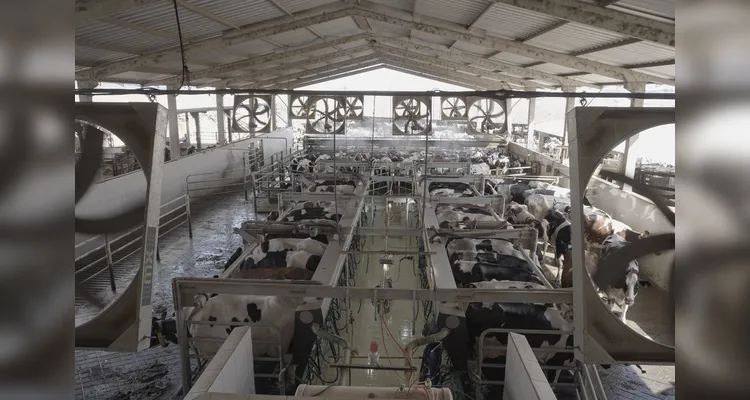 BRDE impulsiona crescimento do agro em episódio da ‘Expedição A Força do Agro’