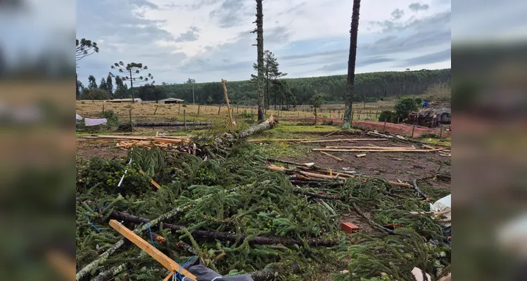 Chuvas Fortes causam estragos em bairros de Ponta Grossa