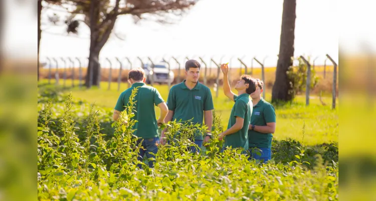 UEPG desenvolve estudos sobre o combate a pragas e biodefensivos