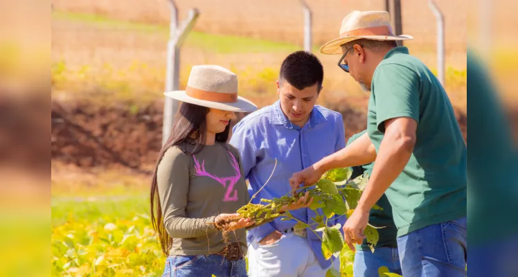 UEPG desenvolve estudos sobre o combate a pragas e biodefensivos