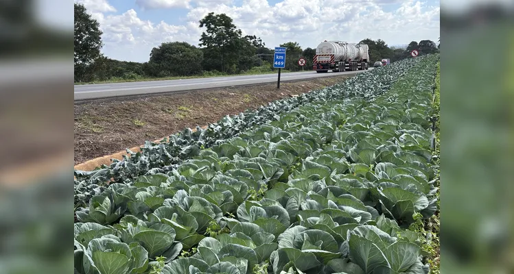 Câmara de Ponta Grossa impulsiona o agro com políticas públicas voltadas ao campo