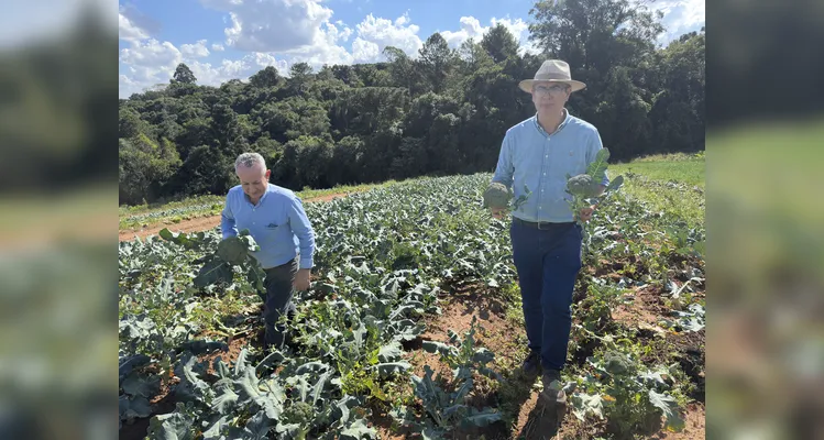 Câmara de Ponta Grossa impulsiona o agro com políticas públicas voltadas ao campo