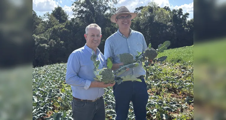 Câmara de Ponta Grossa impulsiona o agro com políticas públicas voltadas ao campo