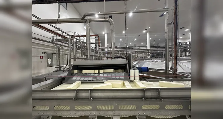 Tecnologia da Tetra Pak fortalece produção de leite e derivados da Unium