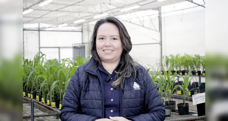Agrocete investe em pesquisa e inovação para ampliar produtividade no campo