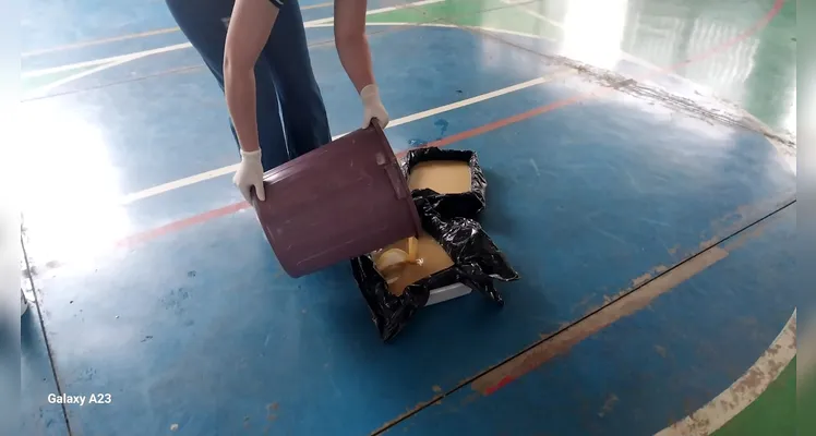 Confira a série de registros do trabalho dentro e fora da sala de aula.