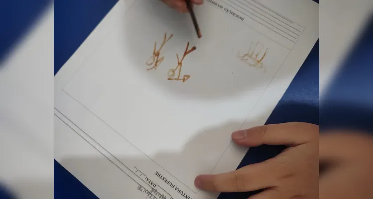 Confira a série de registros do trabalho em sala de aula.