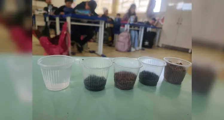 Confira a série de registros do trabalho em sala de aula.