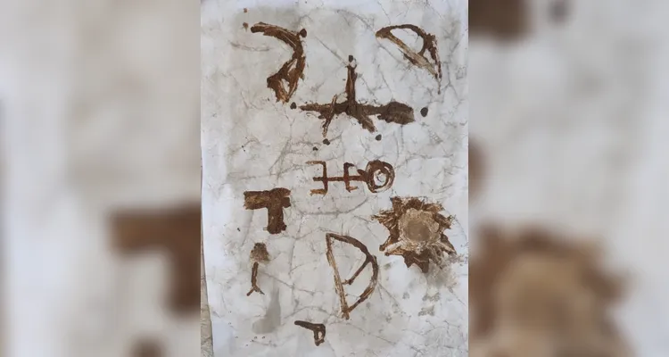 Confira a série de registros do trabalho em sala de aula.