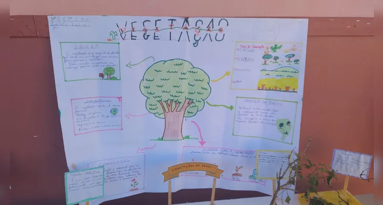 Confira a série de registros do amplo trabalho realizado pelos educandos.