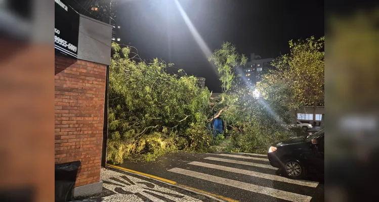 Temporal com vento forte e granizo assusta moradores em Ponta Grossa