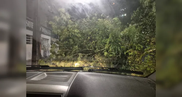 Temporal com vento forte e granizo assusta moradores em Ponta Grossa