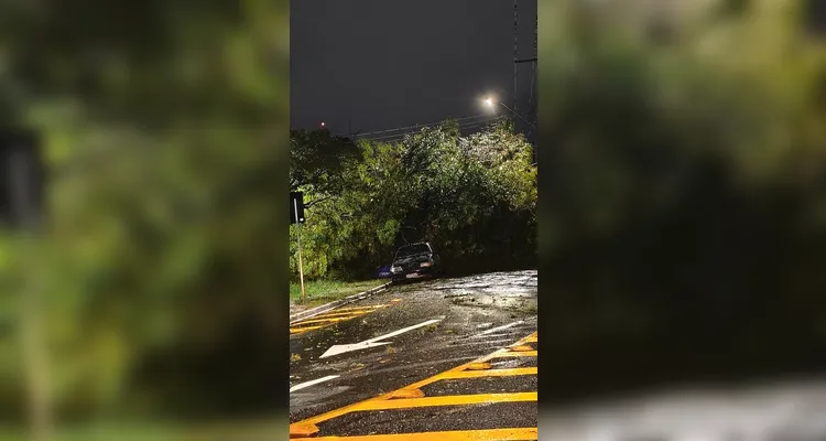 Temporal com vento forte e granizo assusta moradores em Ponta Grossa