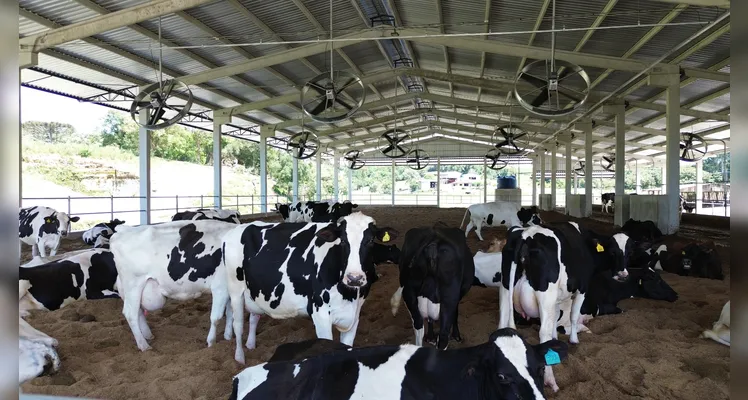 Marinho Pré-Moldados orienta produtores e empresas na escolha do barracão ideal