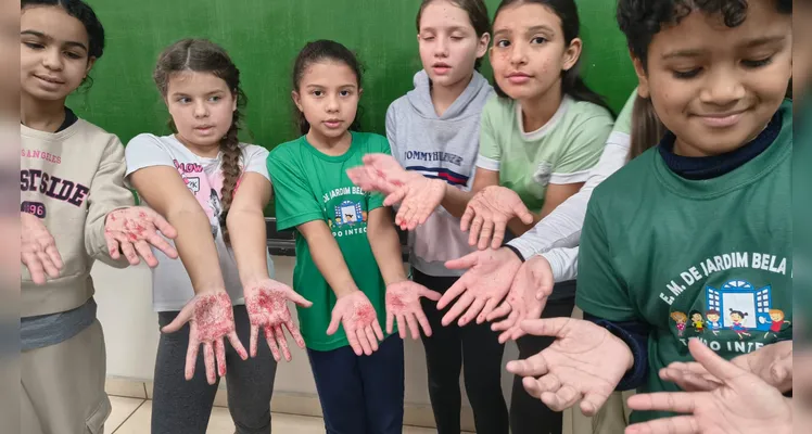 Confira a série de registros do amplo trabalho realizado pelos educandos.