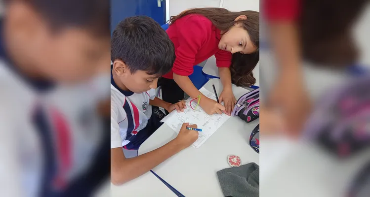 Confira o amplo trabalho realizado pelos estudantes.